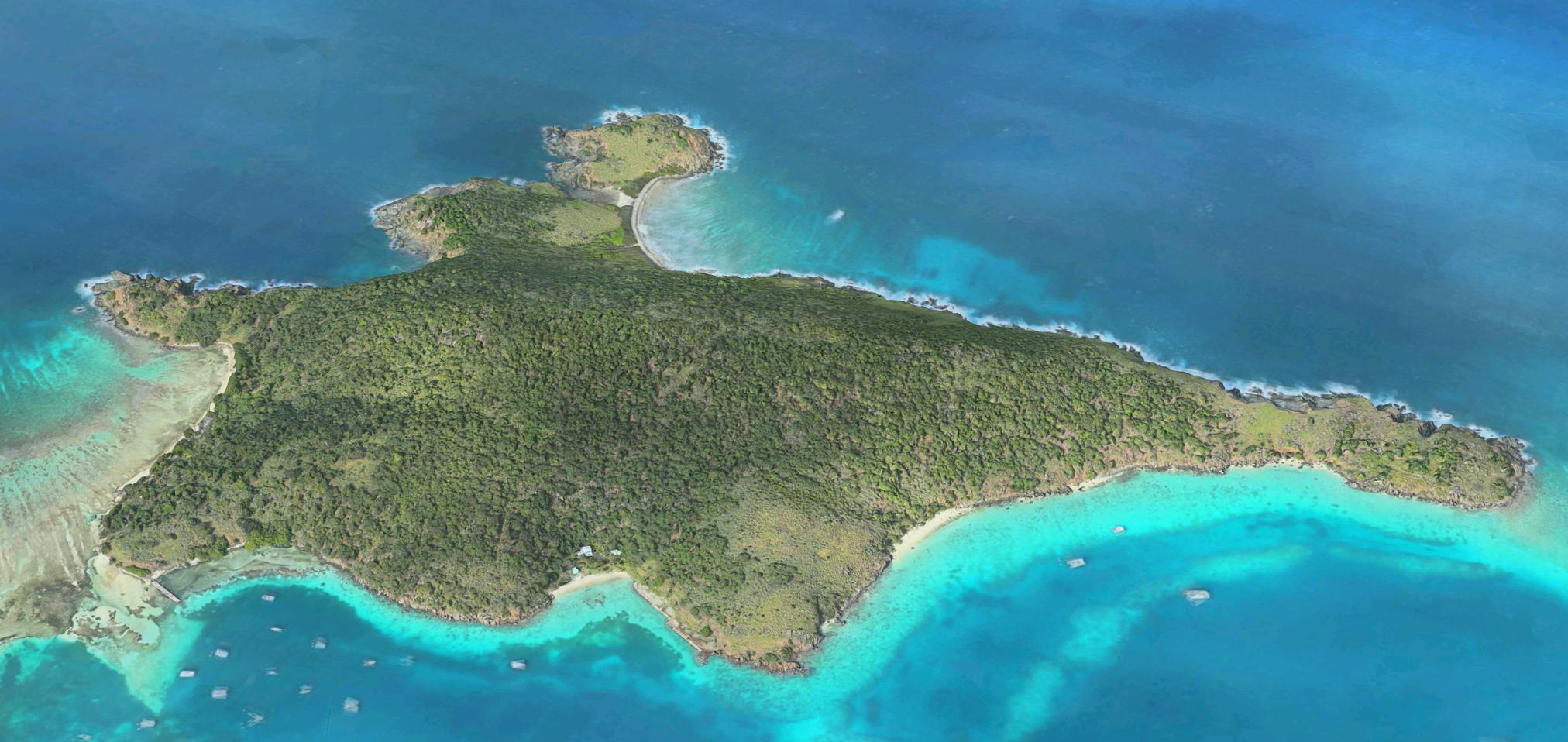 Little Jost Van Dyke Palm Tree Charters
