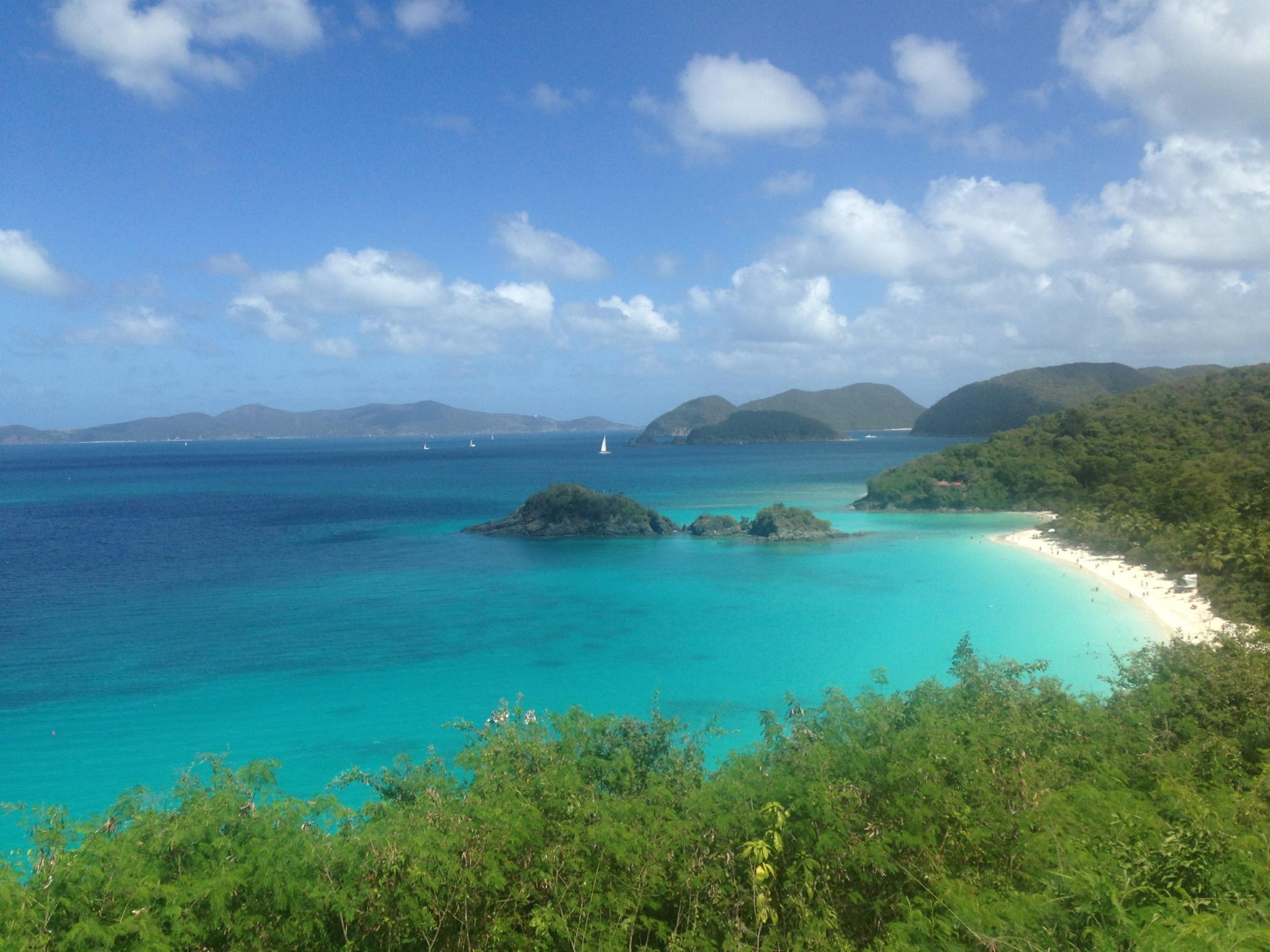 Trunk Bay Palm Tree Charters
