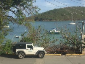 Palm Tree Charters Jeep in Cruz Bay
