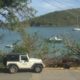 Palm Tree Charters Jeep in Cruz Bay