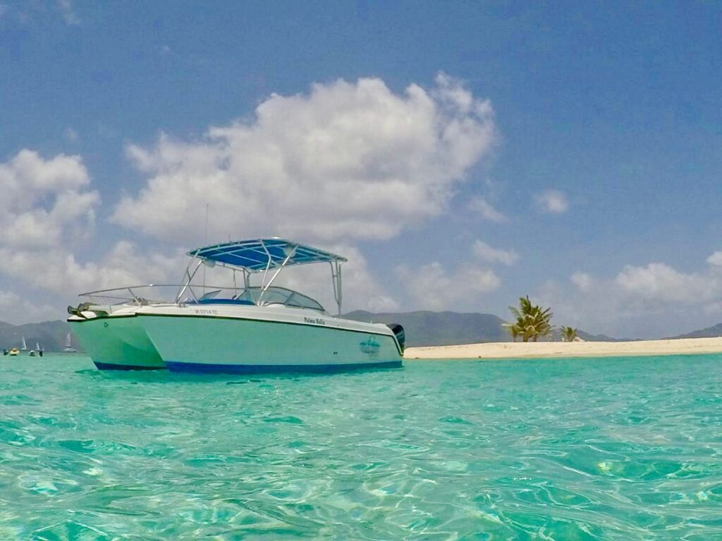 Palma Bella II